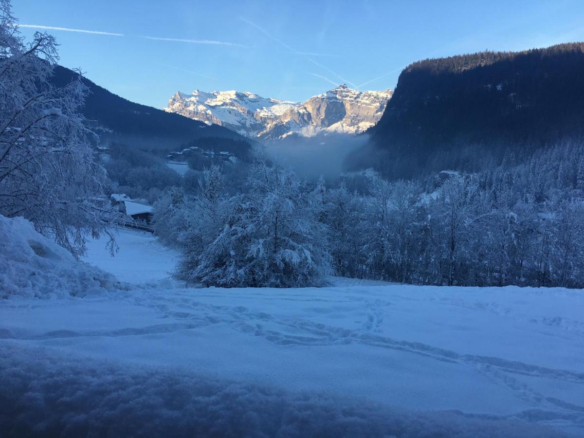 Vallee De Chamonix Au Pied Des Pistes Les Houches Eksteriør bilde